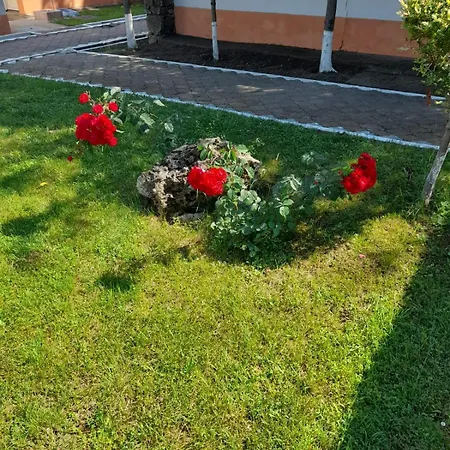 Complex Dunarea * Saturn