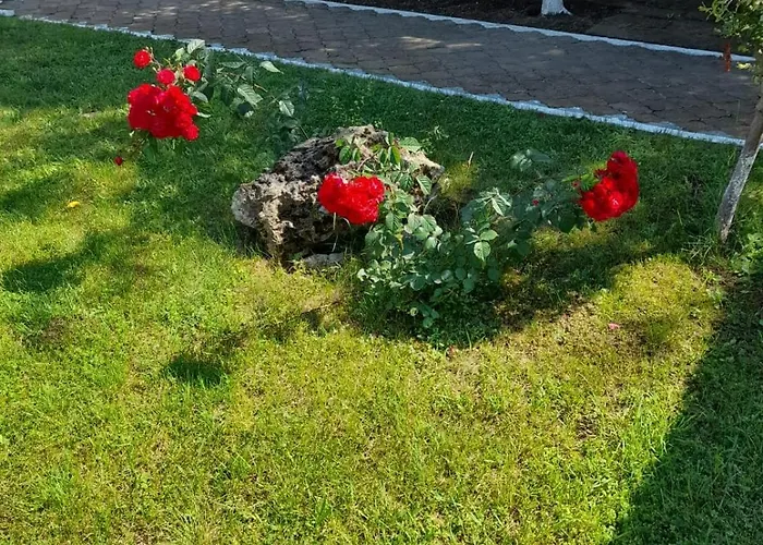 Complex Dunarea * Saturn